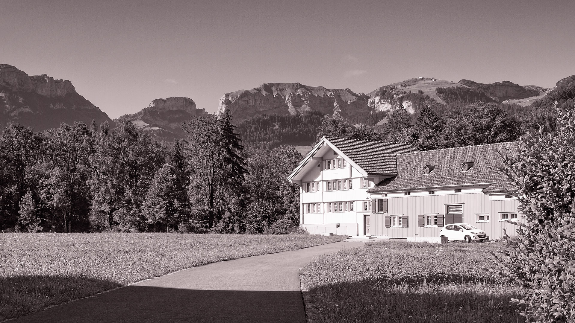 Appenzeller Molkenschwein Landschaftsbild
