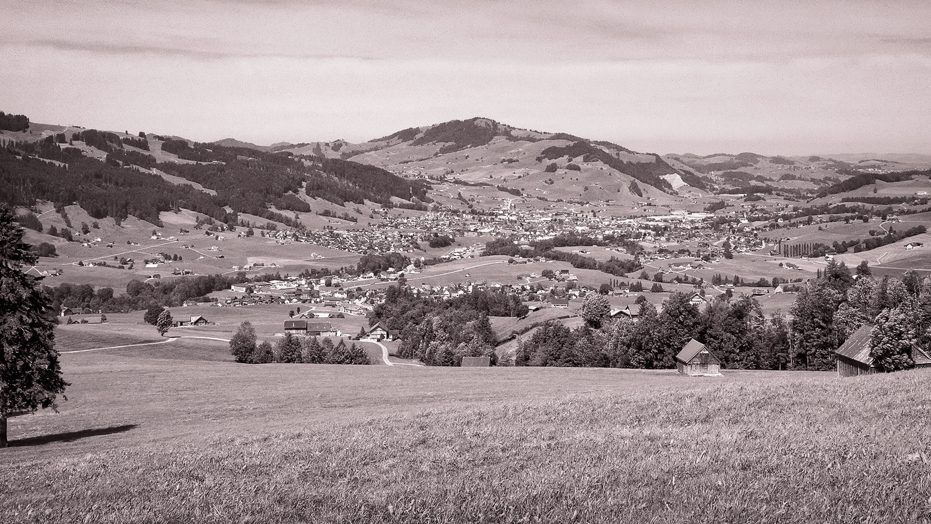 Appenzeller Hügellandschaft mit Steinegg und Appenzell